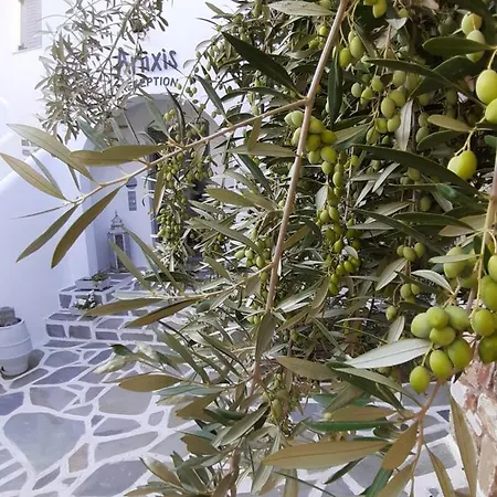 Ξενοδοχείο με διαμερίσματα Anixis Paros Αλυκή