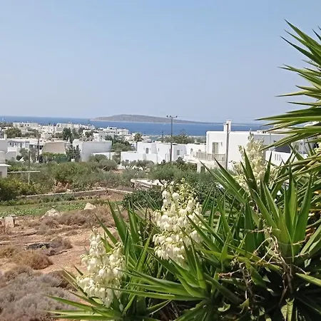 Anixis Paros 4*