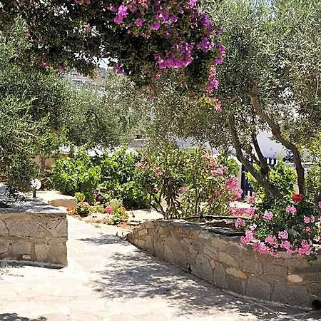 Anixis Paros * Aliki (Paros)