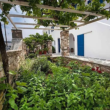 Anixis Paros * Aliki (Paros)