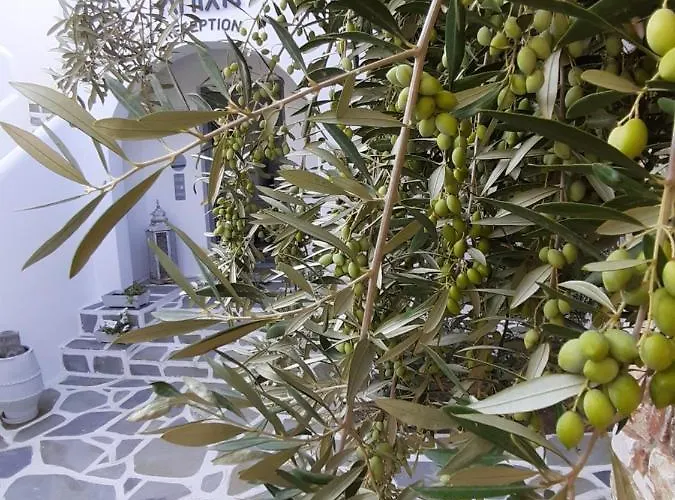 Appartamento Anixis Paros Alikí